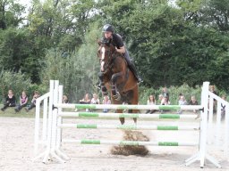 IMG_1427_web